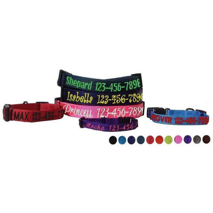 Nylon Flat Collar: Cyan / 13-20" / 3/4"