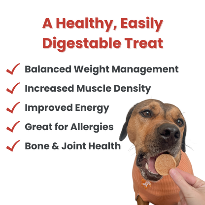 Fish Chips Dog Treats: Value 12oz