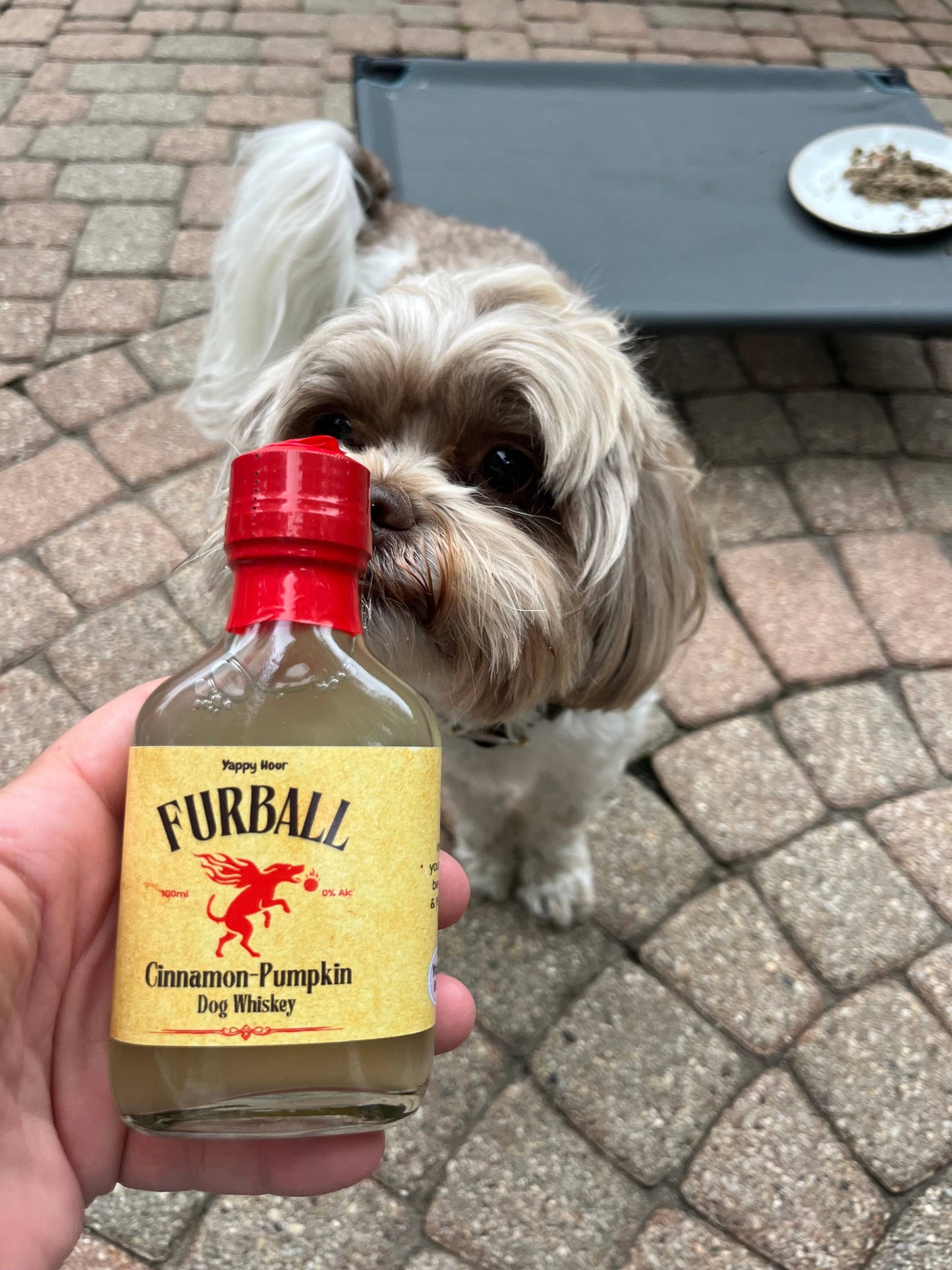 Furball Dog Whiskey Minis 100ml |12ct | Pumpkin-Cinnamon