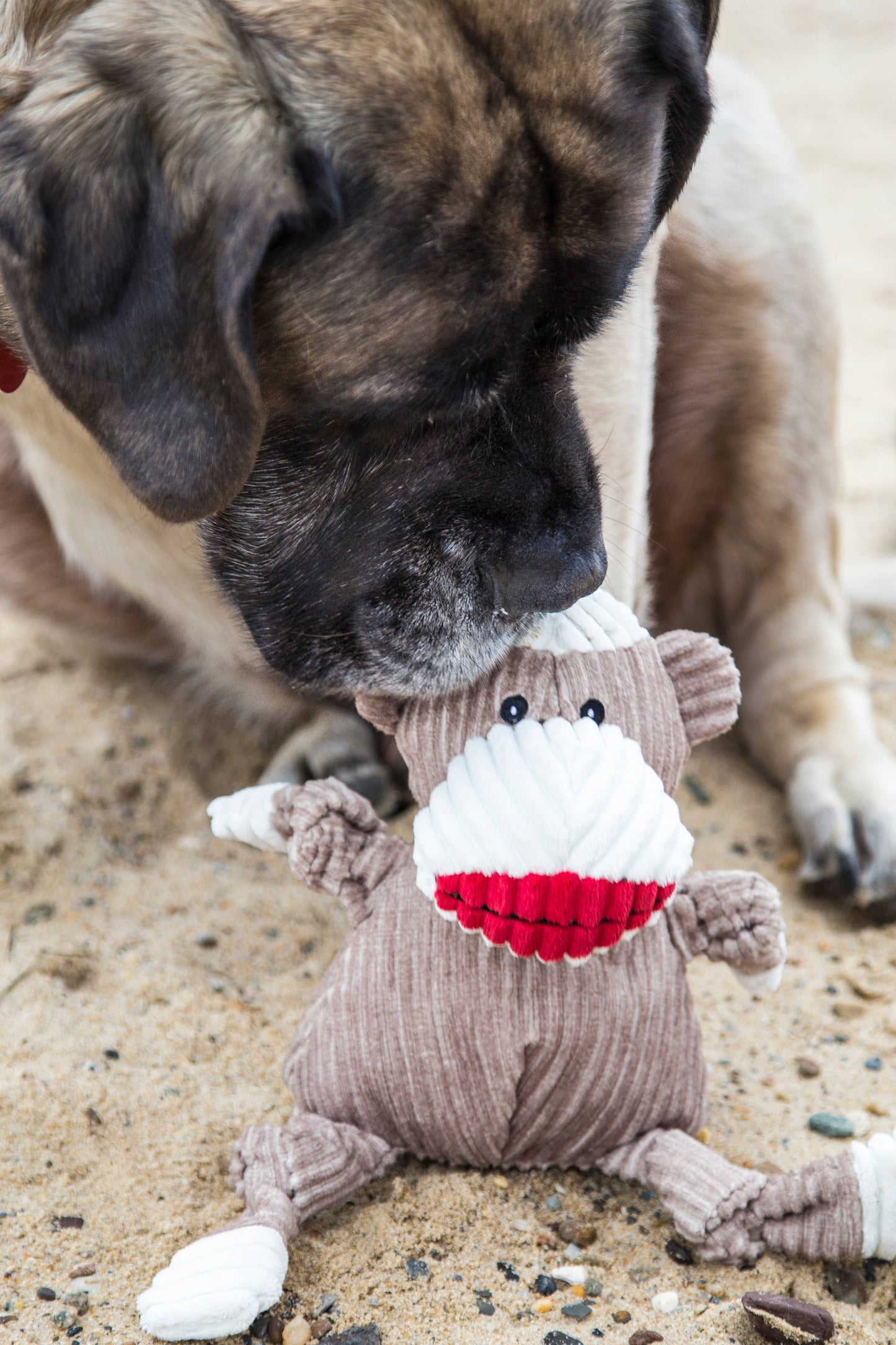 Stuey Sock Monkey Knottie®  Plush Dog Toy: Small