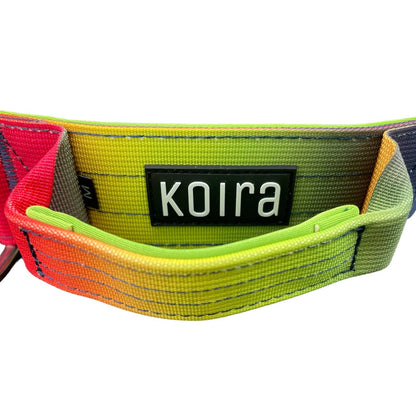 Tactical Dog Collar Pink to Purple Gradient (2"/ 5cm): Medium
