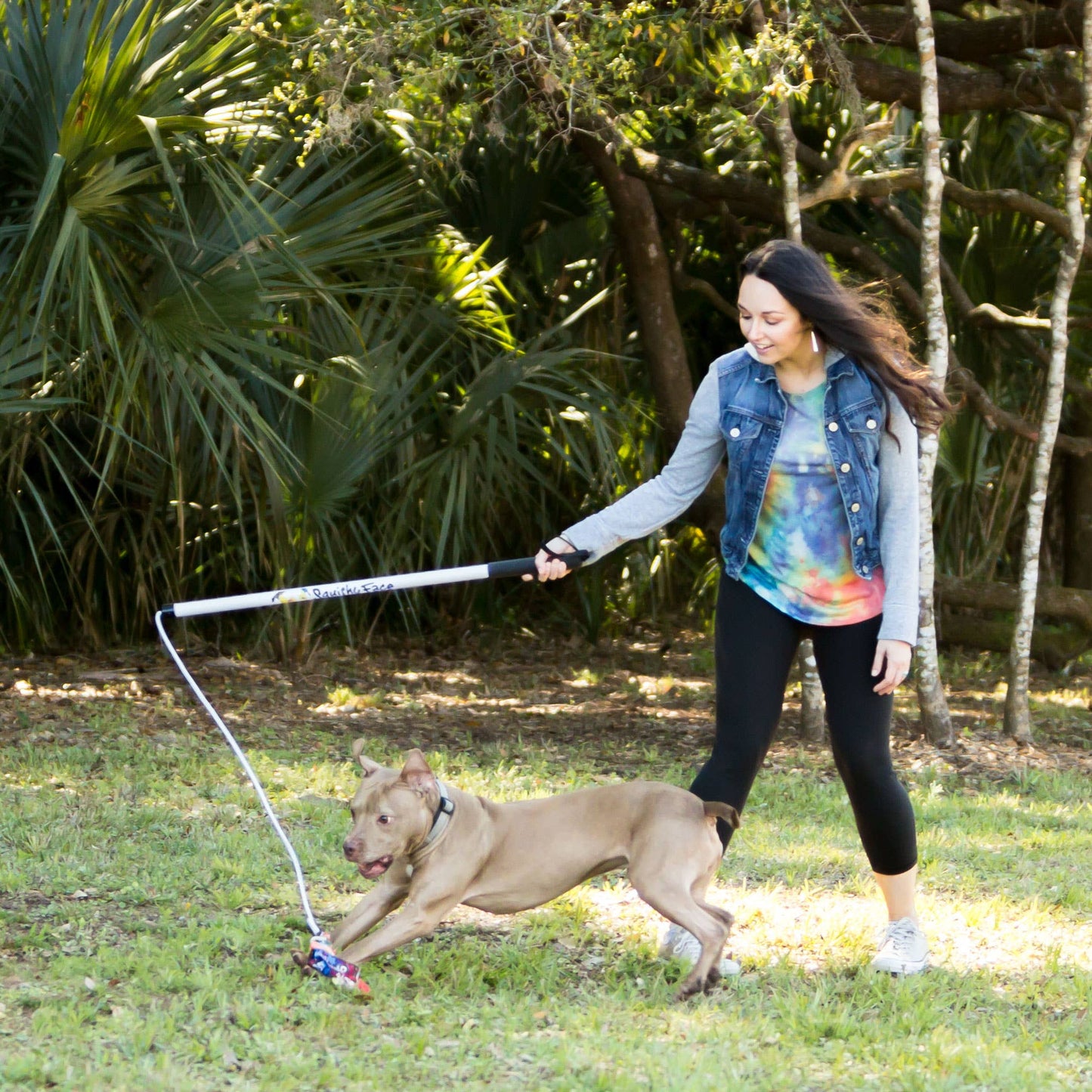 Squishy Face Studio Dog Flirt Pole V2 Dog Toy - With Squeakers