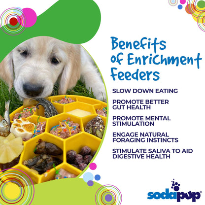Honeycomb Design eBowl Enrichment Slow Feeder Bowl for Dogs: Yellow