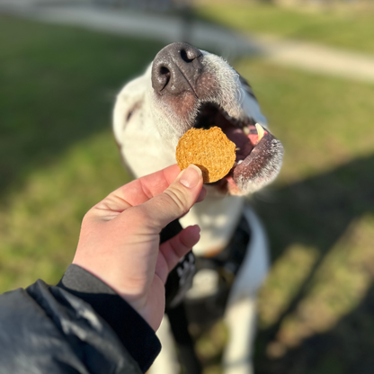 Fish Chips Dog Treats: Value 12oz