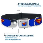 Buckle-Down Dog Collar 15”-26” Superman