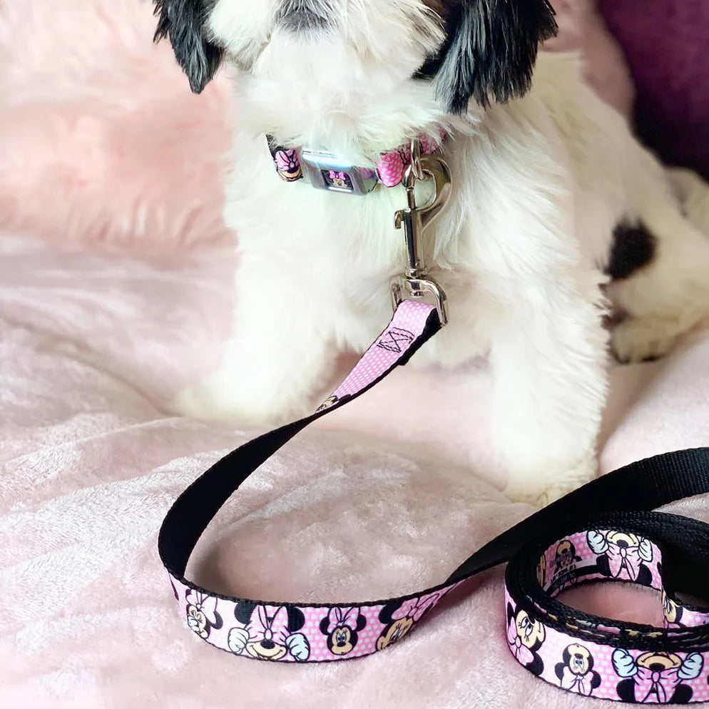 Dog leash Minnie Mouse 4ft