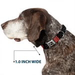 Buckle-Down Dog Collar 15”-26” American Flag