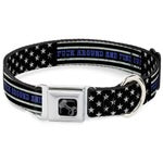 Buckle-Down Dog Collar 15”-26” Blue FAFO