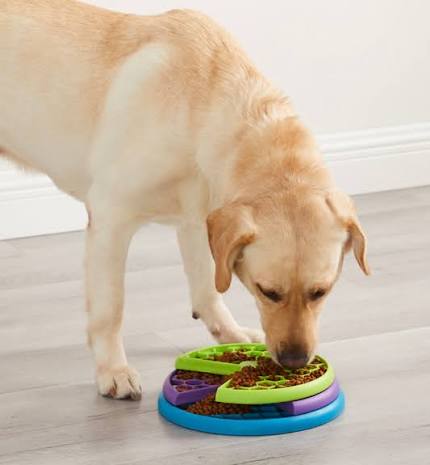 Outward Hound Lickin’ Layers Puzzle Feeder