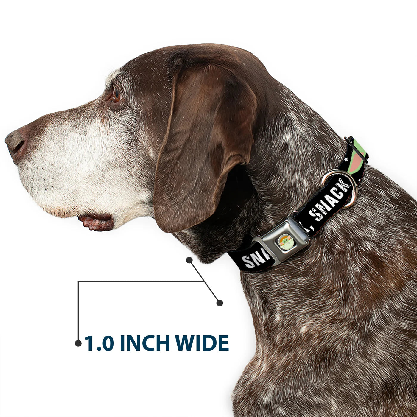 Buckle-Down Dog Collar 15”-26” Star Wars