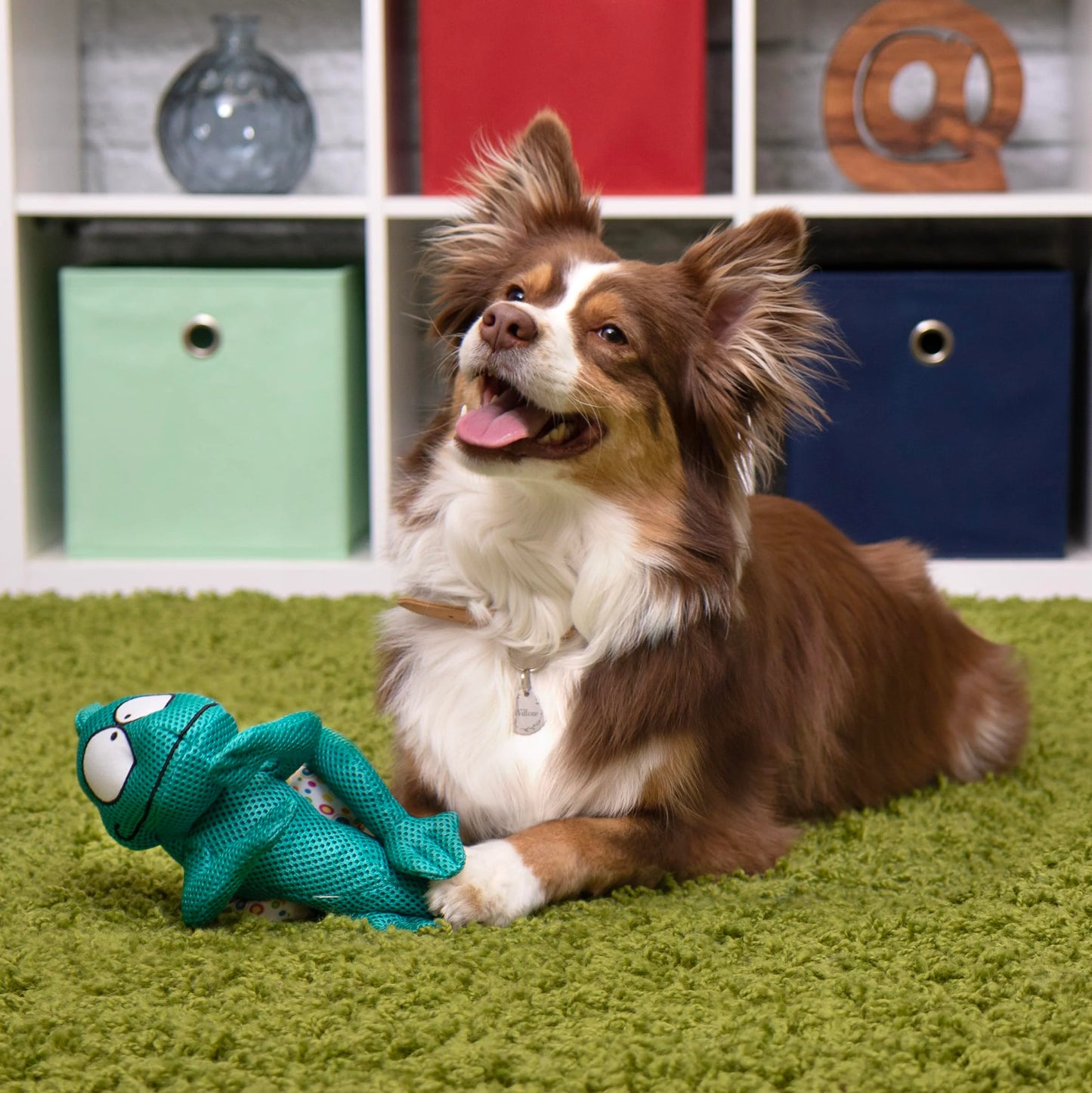 Double Chew Guard Mesh Amphibianz Chameleon Squeaky Dog Toy - Teal, Large | goDog