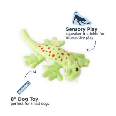 STUFFLESS LIZARD SQUEAKER DOG TOY 8” | Tall Tails