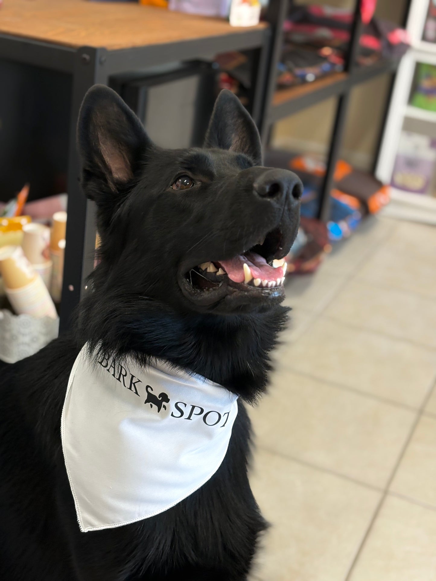 Bark Spot Swag- Bandana