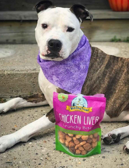 Yeti Dog Chew Chicken Liver Crunchy Bites Himalayan Yak Cheese Dog Treats, 4-oz bag