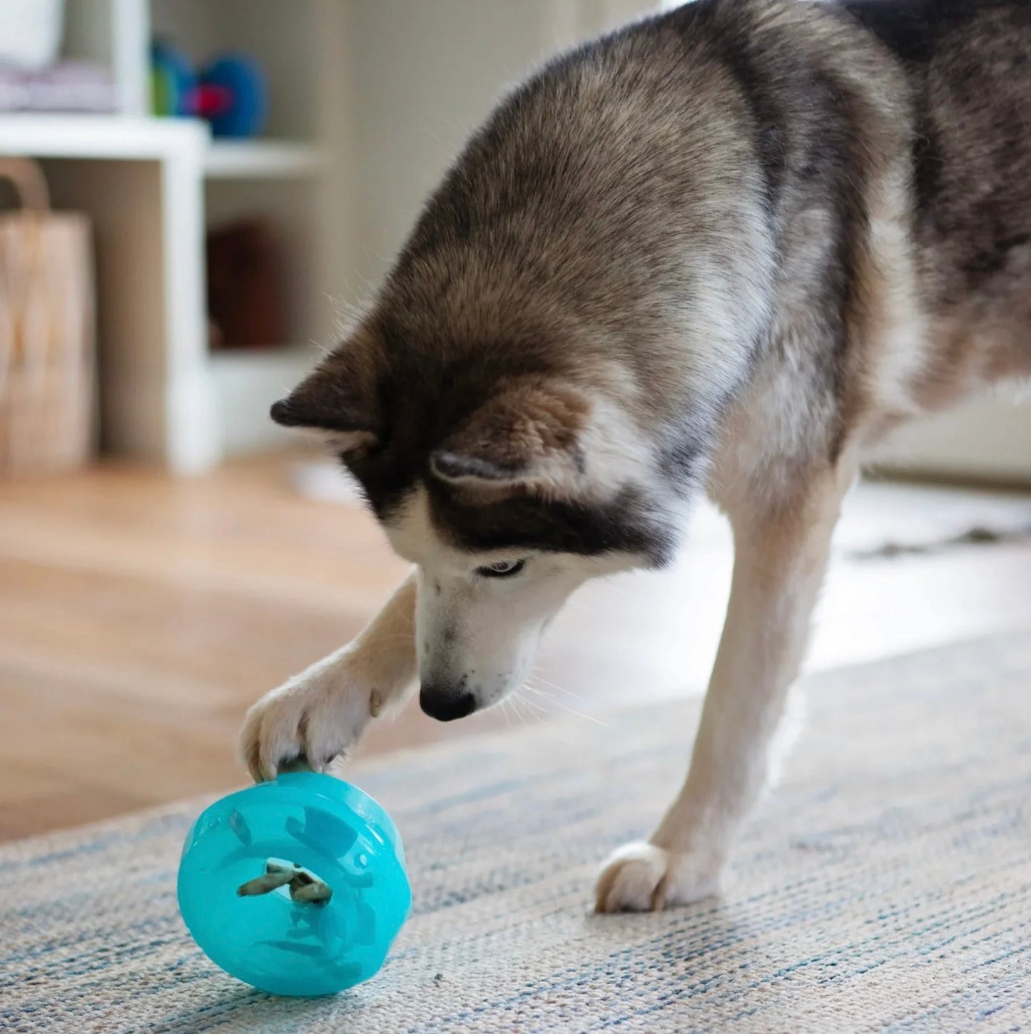 Totally Pooched Stuff'n Wobble Ball, 5", Teal