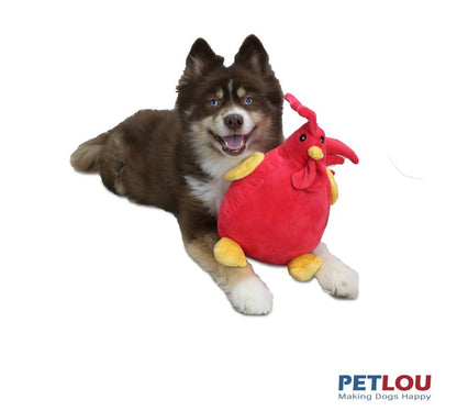 Rooster 13” | Petlou