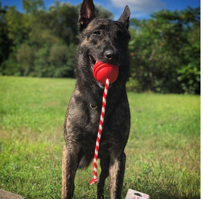 USA K9 Stars and Stripes Ultra-Durable Dog Toy