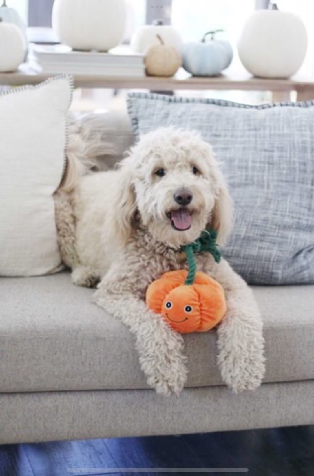 Patchwork Pumpkin with rope