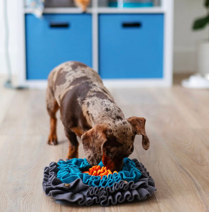 Square Forage/Snuffle Mat, 11"x 11" | Messy Mutts