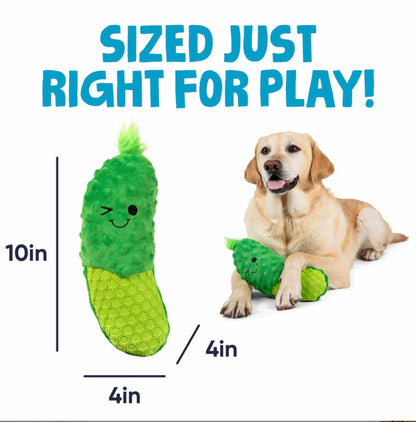 Dillbert Pickle Tough N Texture Plush Dog Toy | GoDog