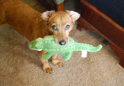 Savannah Baby Gator | Fluff & Tuff