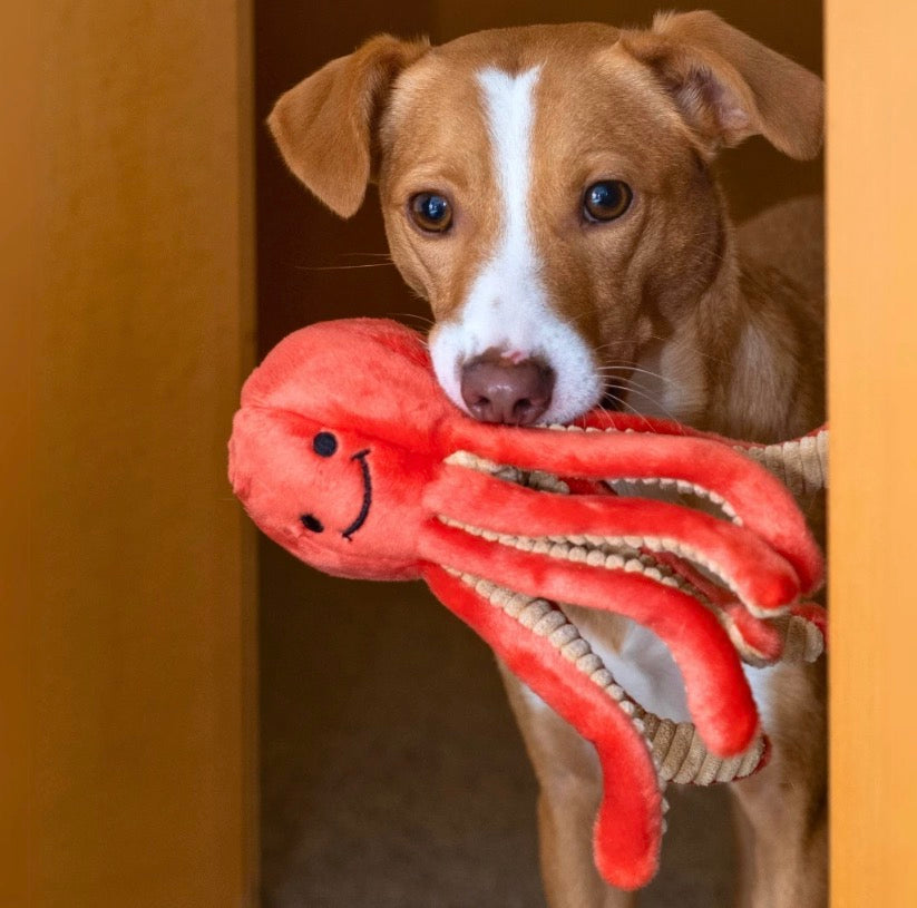 Squirt Octopus | Fluff & Tuff