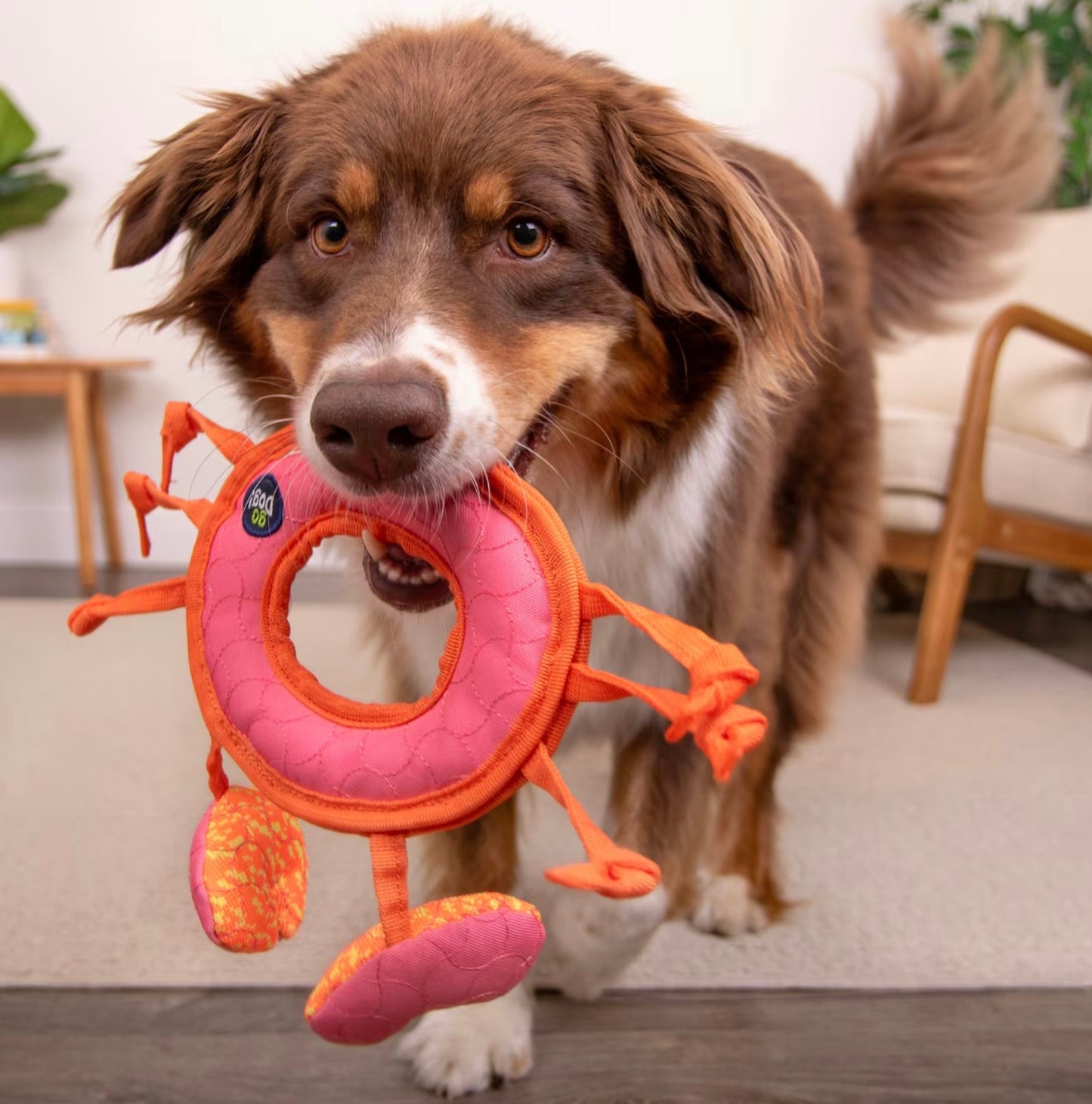 Curtis Crab Tough Guard Durable Dog Toy | goDog