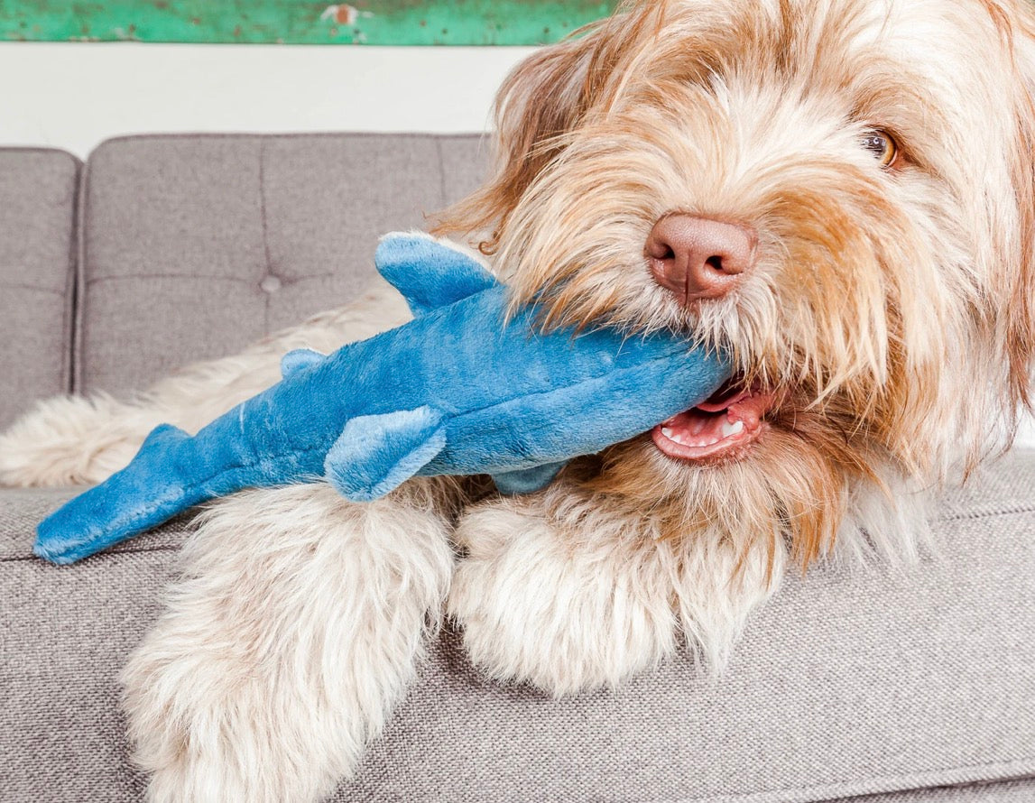 Tank Shark | Fluff & Tuff