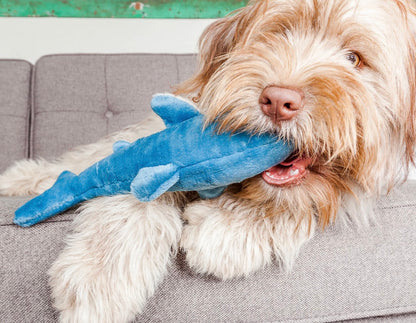 Tank Shark | Fluff & Tuff