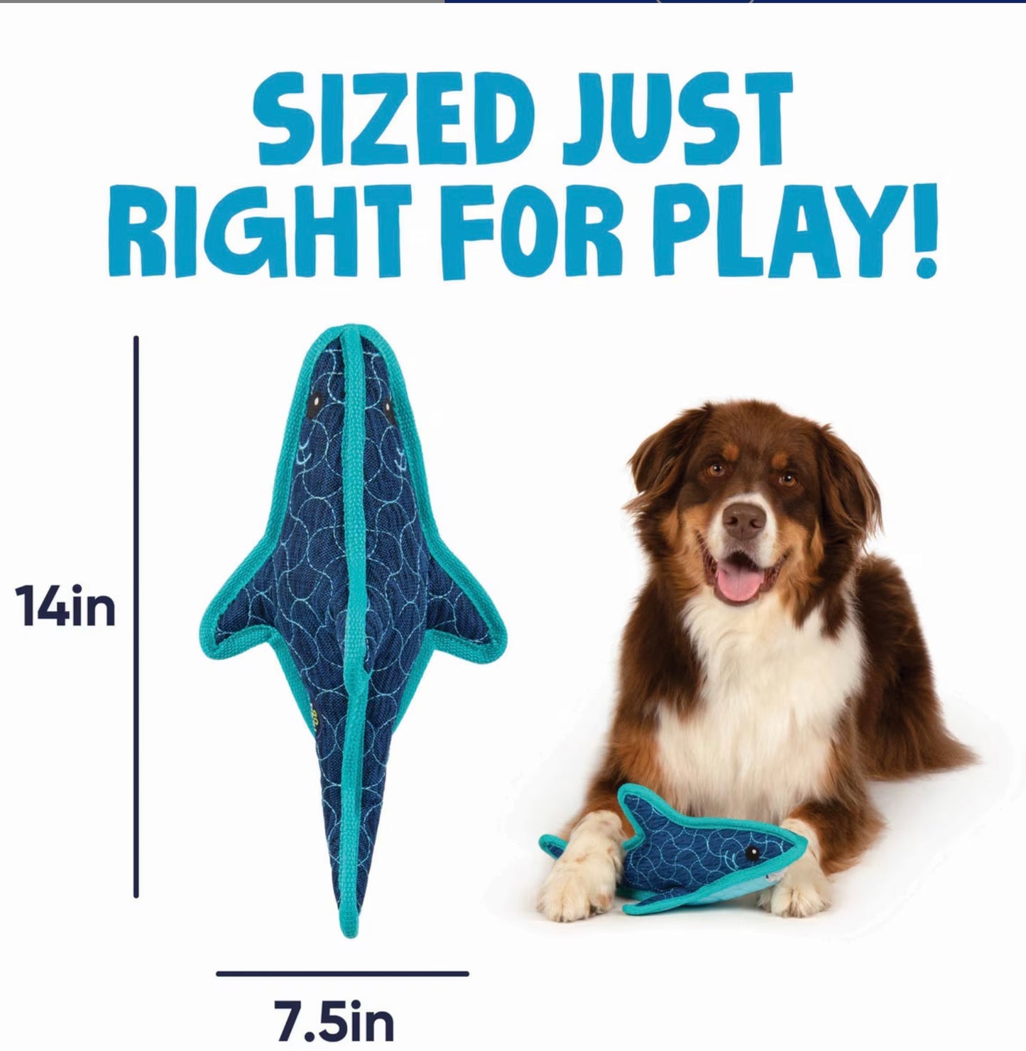 Stanley Shark Tough Guard Durable Dog Toy | GoDog