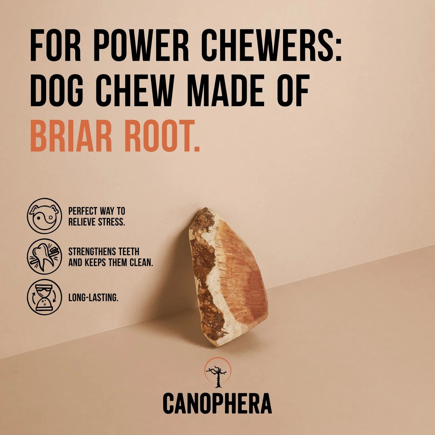 CANOPHERA BRIAR ROOT L