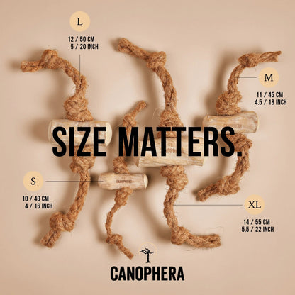 CANOPHERA COFEE&COCO CHEWS