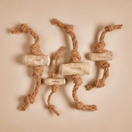 CANOPHERA COFEE&COCO CHEWS