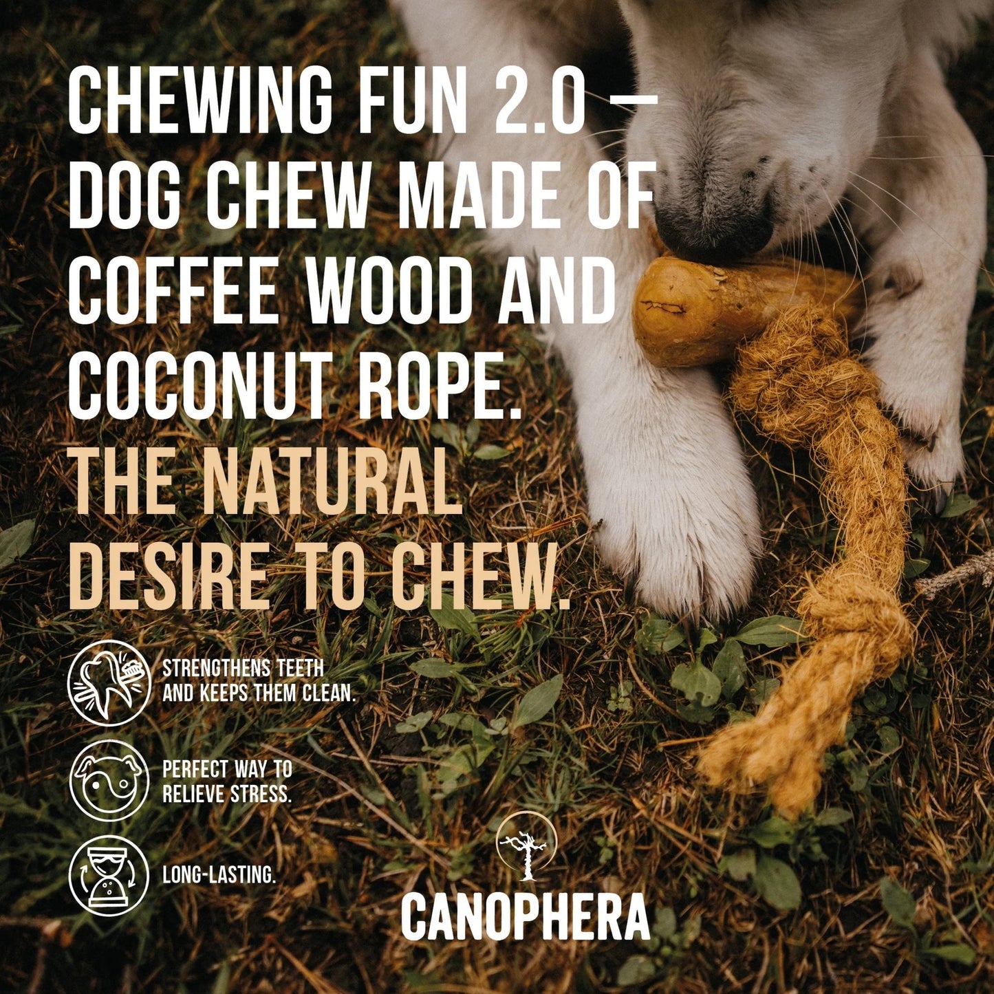 CANOPHERA COFEE&COCO CHEWS