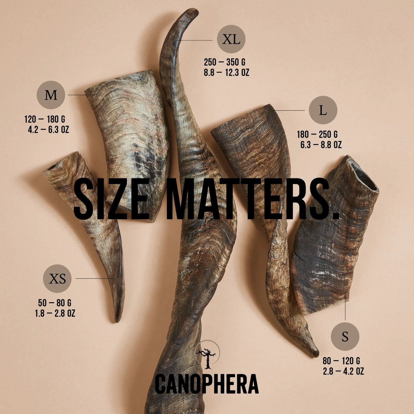 CANOPHERA SHEEP HORN