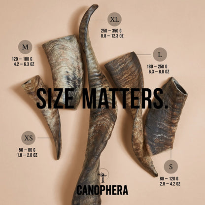 CANOPHERA SHEEP HORN