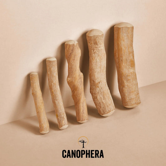 CANOPHERA COFFEE WOOD STICK M