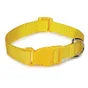CASUAL CANINE NYLON COLLAR- YELLOW 6”-10”