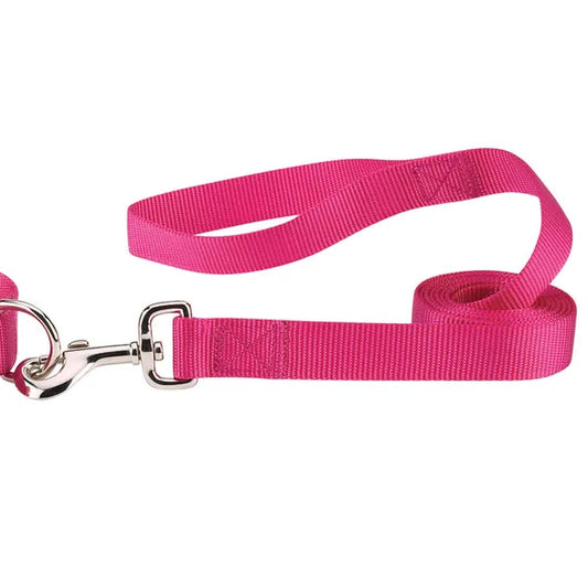 CASUAL CANINE NYLON LEASH-PINK 4’x5/8”