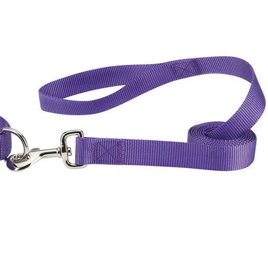 CASUAL CANINE NYLON LEASH-PURPLE 6’x1”
