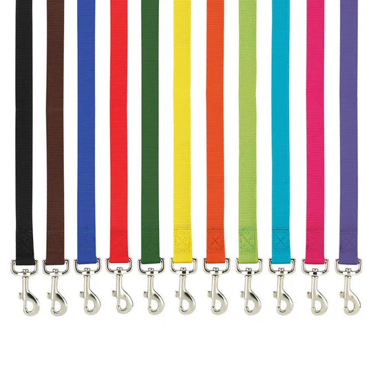 CASUAL CANINE NYLON LEASH-YELLOW 6’x1”