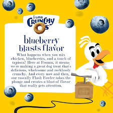 FROMM Crunchy Os Blueberry Blasts Flavor Dog Treats