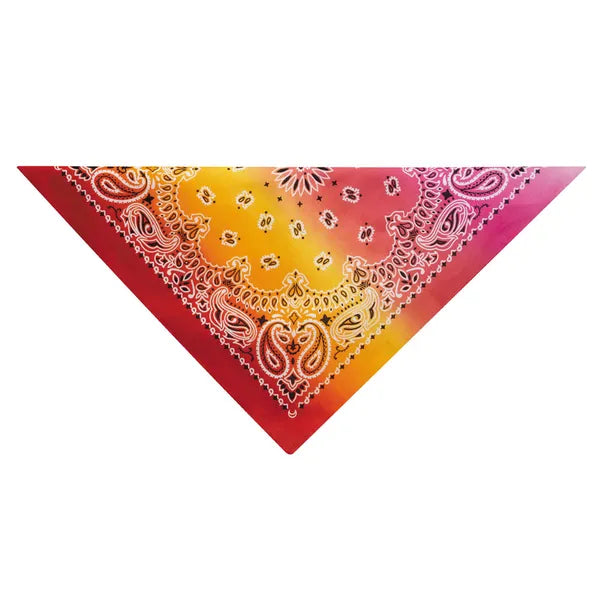 ARIA PAISLEY BANDANA 22”