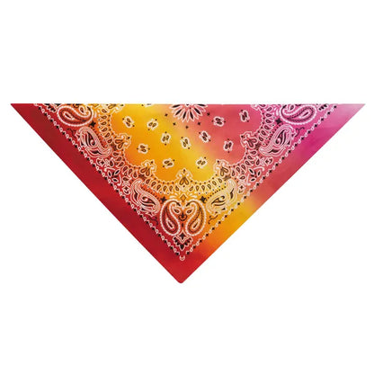 ARIA PAISLEY BANDANA 22”