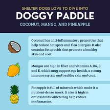 GIVEPET Doggy Paddle Dog Treats
