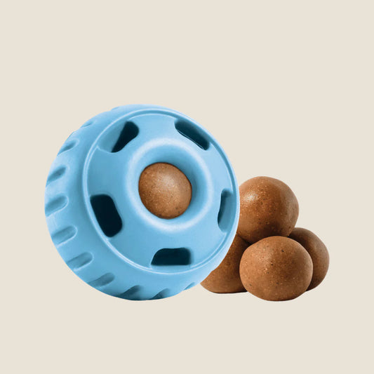 Woof Dog Pupsicle -Blue Lrg