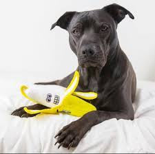 Tuffy Funny Food Banana, Durable, Squeaky Dog Toy 2-in-1