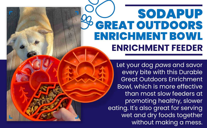 GREAT OUTDOORS DESIGN EBOWL ENRICHMENT SLOW FEEDER BOWL FOR DOGS