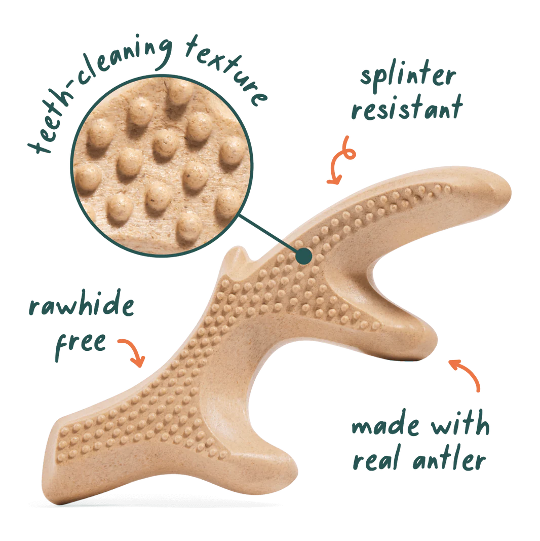 Woof HonestChew Antler