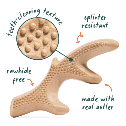 Woof HonestChew Antler